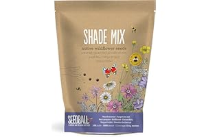 SEEDBALL Shade Mix Seed Bombs (Grab Bag) – 100 Seed Balls Per Pack | British Wildflower Seeds for Shady Areas - Clay Seed Bomb Designed for Planting in Areas of Dappled Sun and Shade