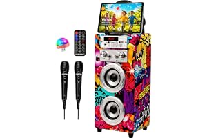 DYNASONIC bärbar karaokemaskin, karaokehögtalare med 2 mikrofoner, Bluetooth-högtalare, USB-ljus ingår, USB- och SD-läsare, exklusiv design, originalgåva (025-12 ljus)
