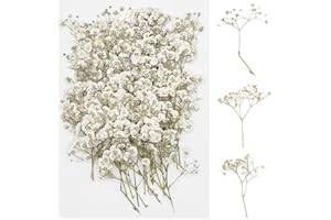 Cayway 60 Pz Fiori Secchi per Resina, Fiori Celesti Naturali Pressati Fiori Pressati Secchi, Fiori Secchi Naturali per Candele Fai Da Te Gioielli Resina Partecipazion