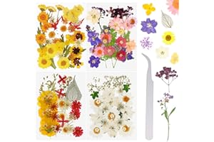 Wikay Flores Prensadas Secas 127 Pcs Naturales Flor Prensada Mezclada Juego Flores Seca Bricolaje para Decoración Tarjetas Álbum Recorte Scrapbooking Velas Joyas Uñas Manualidades Maquillaje Facial