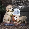 GloBrite Solar Labrador Dogs Garden Ornaments | Solar Ornaments | Solar Powered Crackle Ball Light | Garden Decorations Solar Animal | Labrador Ornaments Garden Décor