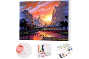 TAHEAT Paint by Numbers Kits with 3X Magnifier Card 40 x 50cm DIY Acrylic Painting for Kids and Adults Beginner - Mount Seaview (Wooden Frame)