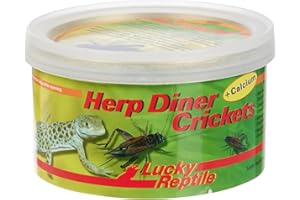 Lucky Reptile Herp Diner Grands Crickets 35 g