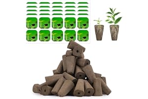 GoorDik 100 Pack Seed Starter Pods for Indoor Hydroponics Growing System, Grow Anything Kit with 50 Grow Sponges, 50 Pods Labels, Hydroponics Supplies Compatible with IDOO, QYO, LYKO (Square)