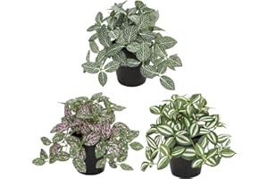 OAIRSE Small Artificial Plants Indoor in Pot Set of 3 Decorative Fake Plants Realistic Faux Plant Potted for Home Aesthetic Living Room Bathroom Desk Shelf Office Decoration