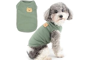 Zunea Hundeshirts für Kleine Hunde Sommerweste Haustier-T-Shirt Welpen Mädchen Jungen Kleidung Weich Atmungsaktiv Basic-T-Shirt Dehnbar ärmellos Tank-Top Chihuahua Katze Sweatshirt Kleidung Grün XL