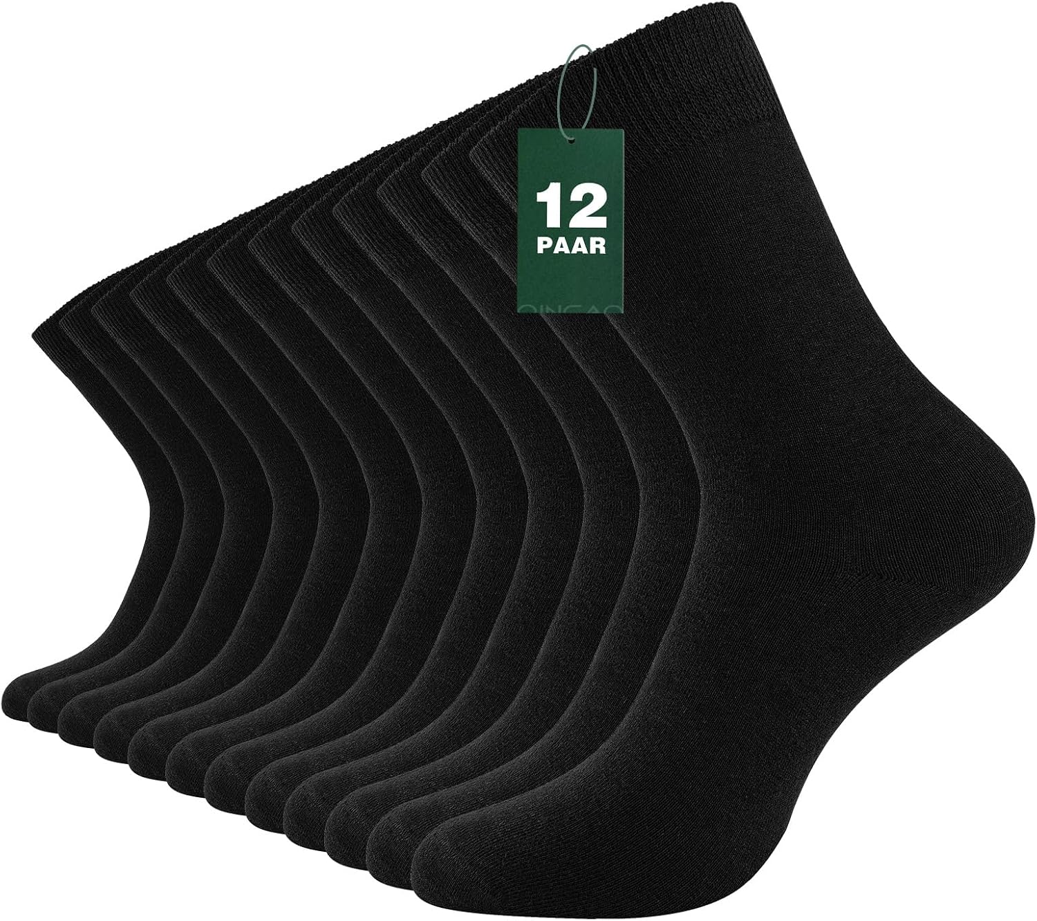 Vue 5