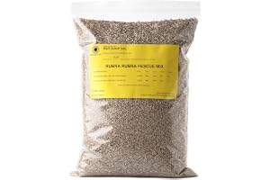 R&R SHOP - Gräsfrö Skugga, Rödsvingel, Självreparerande och Finbladig Gräsmatta (500 g – 20 m²)