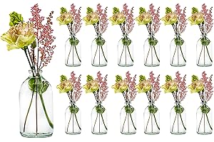 ‎CASAVETRO casavetro 12/24 kleine Mini Flaschen Vasen 100 ml Set Mini-TR-100 Glasflaschen klar Deko Hochzeit (12 x 100 ml-OK)