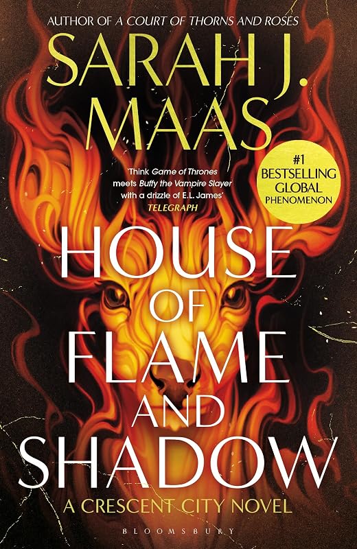 House of flame and shadow cover