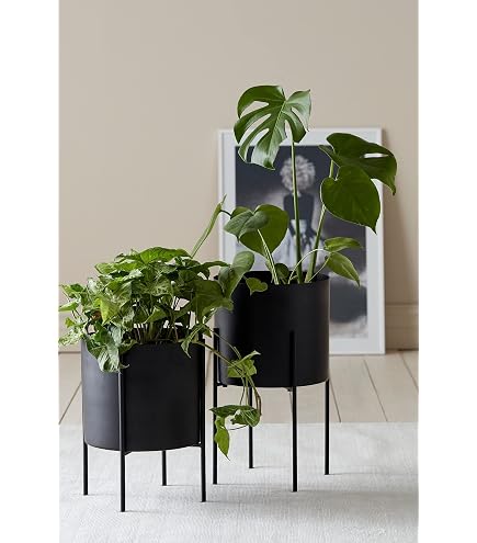 bellissa pflanzstab bellissa Pflanzstab 120 cm  11mm  Rasenkante 24