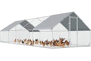 PawHut Pollaio da Esterno con Telaio Zincato e Rete Esagonale, Pollaio Ovaiole per Galline da Esterno con Copertura in Tessuto Impermeabile per 16-24 Polli, Anatre e Conigli, 3x8x2m