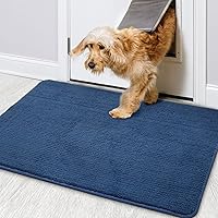 Color&Geometry Schmutzfangmatte 50 x 80 cm Türmatte Fußmatte Schmutzfänger rutschfest, Maschinenwaschbar, Weich…