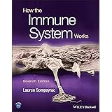 How the Immune System Works
