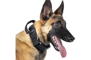 OneTigris Hunde Halsband mit Metallschnalle für Hunde (Schwarz, L)