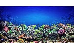 MIRRORANG 120x50cm Aquarium Background Coral Underwater World Fish Tank Poster Backdrop Vinyl Background