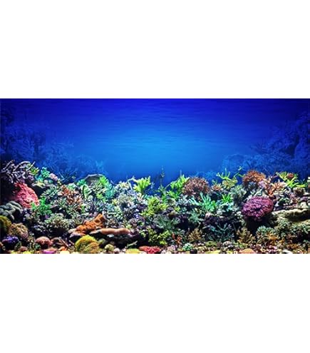 Sfondo Per Acquario 61x30cm - Vinile, Decorazione Oceano Con Piante Acquatiche