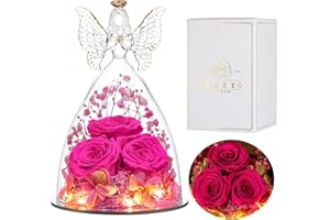 ‎EAPRALA Eaprala DREI Konservierte Rosen Geschenk in Glas Engelsfiguren, Geburtstagsgeschenke für Frauen, Engel Geschenke für Sie auf Jahrestag,Weihnachten,Valentinstag.Heißes Rosa