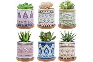 Warmplus Maceta para Plantas Suculentas 7.5CM, Maceta de Cerámica con Patrón de Colorido para Plantas de Cactus, Pequeñas Macetas para Plantas de Interior Exterior con Bandeja de Bambú, Set de 6