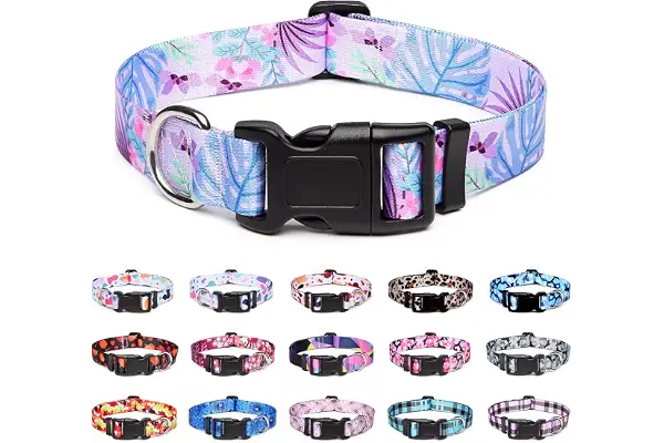 Suredoo Collar Perro, Ajustable y Resistente con Patrones de Moda, Collar Nylon Cómodos para Perros Pequeños Medianos Grandes, Cachorros (S,Flor Purpura)