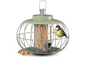 The Nuttery LAND03 Chinese Lantern Seed Squirrel Proof Bird Feeder - Hanging Seed Feeder for Garden Birds - Stylish, Sturdy Design - Metal Bird Feeder in Celadon Green