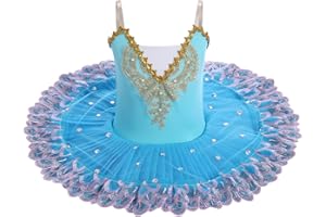 IBTOM CASTLE Fille Sans Manches Robe Ballet Brodée de Plumes Justaucorps Gymnastique Patinage Ballet Tutu Costume de Danse Enfant Ballerina 4-14 Ans