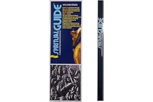 PADMINI - Lotto di incensi "Spiritual Guide" 25 scatole da 8 bastoncini, 200 Bastoncini di incenso