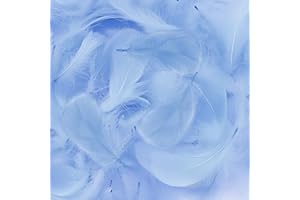 Mbsomnus 600 Pièces Plumes Bleu Clair Plumes Loisirs Creatifs 5-12 cm pour DIY Arts Crafts Costumes Chapeaux Boucles d'oreilles Attrape-Rêves Festival Anniversaire Mariage Décoration