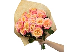 FLOWERBOX Miss Elegance Bouquet de fleurs 20 tiges Longueur de tige env. 60 cm