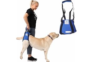 NATURE PET Harnais de Portage de Chiens/Harnais de rééducation, Harnais auxiliaire en Cas de problèmes de la Colonne vertébrale, au Niveau des Hanches et des Genoux - Noir - M