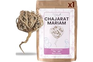 ‎VIRHEA VIRHEA® Rose von Jericho Chajarat Mariam x1 - Echte Maryam Pflanze - Wunderschöne Kaf Pflanze für Dekoration - Ideal für Ihre Wohnung oder als Geschenk
