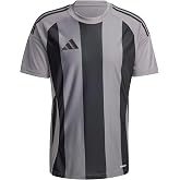 adidas Striped 24 Jsy Erkek Futbol Forması IW2145 Gri