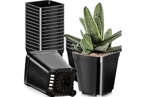 Ledeak Nursery Pots 40Pcs Plastic Plant Pots 10cm Seed Starting Pots Square Nursery Seedlings Pots Flower Plant Container with Drainage Holes for Succulents Seedlings Cuttings (Black)