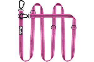 bluzelle Guinzaglio per Cani Taglia Grande Fino a 100kg, 3m Guinzaglio Doppio Forte Regolabile per 2 Cani, 2X Extra Robusto Moschettone in Alluminio a 360°, Guinzaglio A Mano Libera, Colore:Rosa