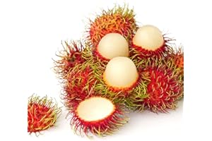 THAIFOODONLINE Fresh Rambutan
