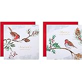 Hallmark traditional robin christmas card