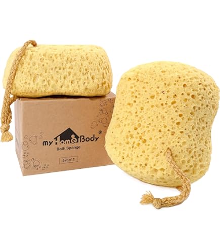 Daily Concepts Multifunctional Aloe Vera Soap Sponge : Amazon.de: Beauty
