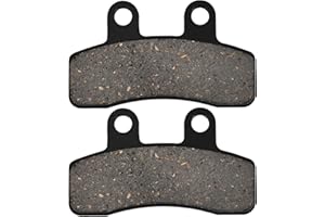 WOOSTAR Disque Plaquette de Frein Remplacement pour 110cc 125cc Taotao Apollo Chinois ATV 4 Roues Quad Dirt Pit Bike