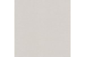 rasch Tapete 448610 aus der Kollektion Florentine II – Einfarbige Vliestapete in zartem Grau – 10,05m x 53cm (L x B)