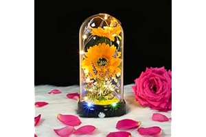 QUELIEN Sonnenblume Geschenke, Sonnenblume Lichter, Frauen Geburtstag einzigartig, Sonnenblume Light Up Glaskuppel, Jungen, Teenager-Mädchen, Kinder