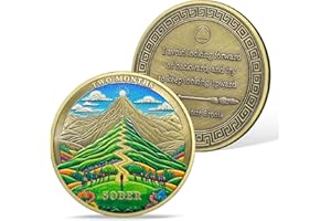 AtSKnSK 2 mesi di moneta sobrietà 1-12 mesi di sobrietà Reborn Sober HA NA AA patatine medaglioni narcotici alcolisti Regali anonimi per uomini donne (2 mesi)