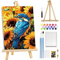 Peinture Par Numéro Poulet Avec Cadre Et Chevalet 20x30cm - Kit DIY Adulte Enfant