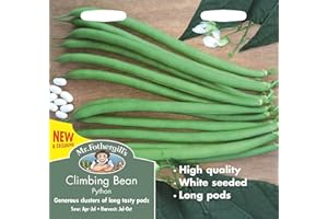 MR FOTHERGILLS Mr Fothergill's Vegetable Seeds, Climbing French Bean Python, Green, 0.3 x 15 x 14.5 cm