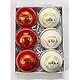 White & Red Cricket Leather Ball Pack of 6 T20 20 Over