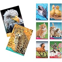 Pacco Da 6 Quaderni DIDATTICI Blasetti A4 - Carta Da 100g, Rigatura 0A - Ideali Per Disgrafia + Penna Multicolore - Foto 9