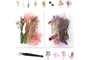 AKOEMXEEO Getrocknete Blumen Echt, natürliche Blumen zum basteln (Karte / Nägel / Malerei / Schmuck), DIY Blumen Deko für Schlafzimmer / Wohnzimmer / Balkon / Badezimmer (2 Packs)