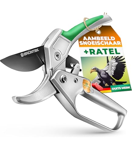 Novaliv Premium klauwbezem met steel, 40 cm, speciale bezem, gebogen borstelharen, ideaal als tuinbezem, krabbezem, kunstgras bezem, optimaal voor camping, straatbezem