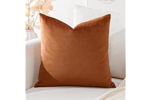 Artscope Housse de Coussin en Velours Décoratif Canapé Taie d'oreiller Super Doux Decoration Maison Salon Chambre pour Canapé 50x50cm Orange