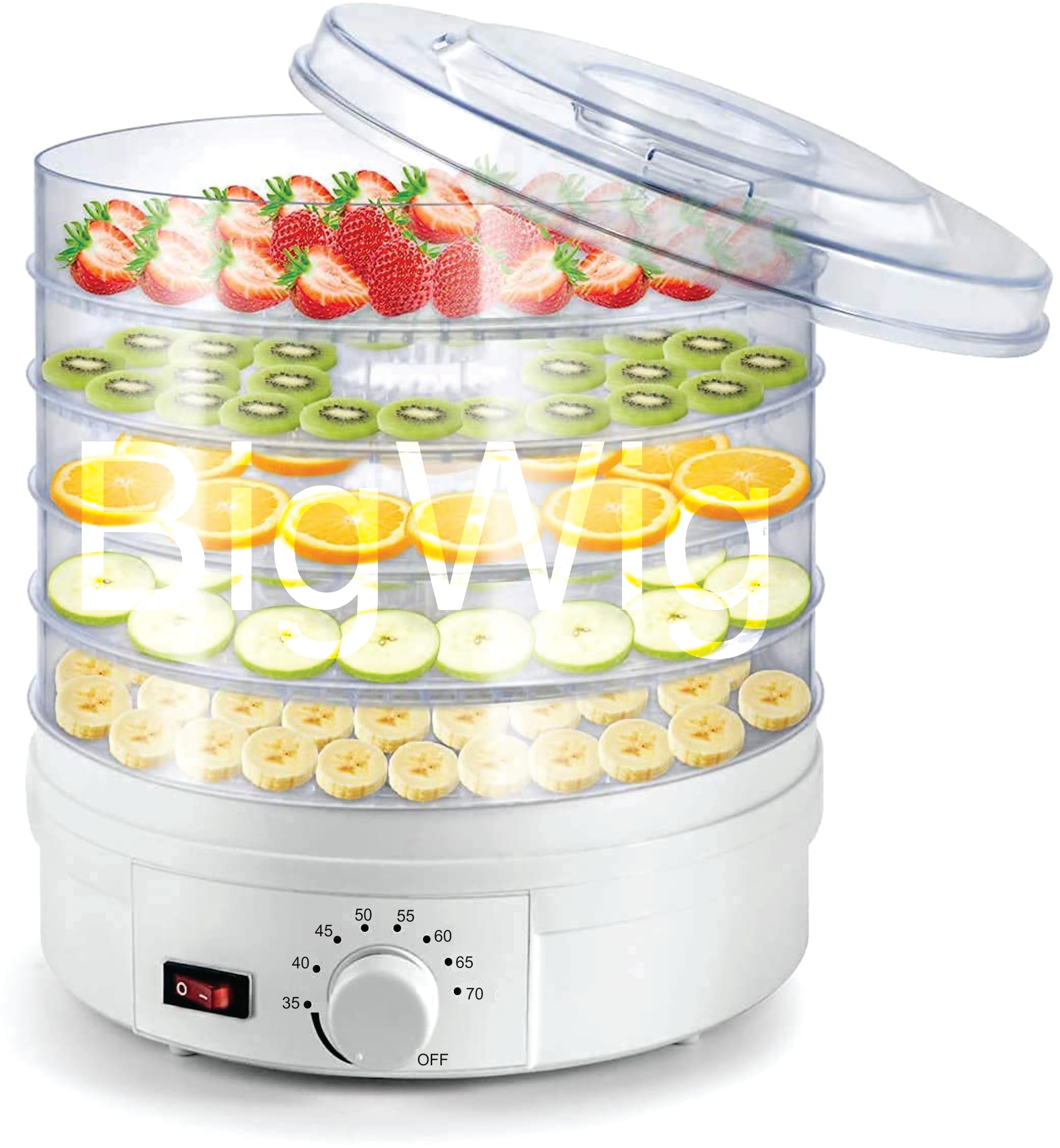 BigWigÂ® Electric Food Dehydrator Machine with 5 Stackable Tray (White)