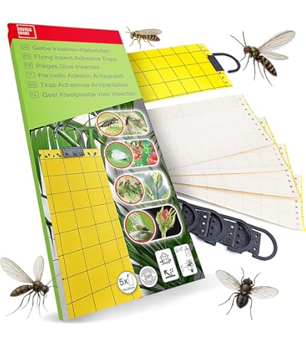 Pièges à Insectes Jaunes - 20 Autocollants Anti Moucherons, Sciarides, Mouches - Pour Plantes Intérieur/Extérieur